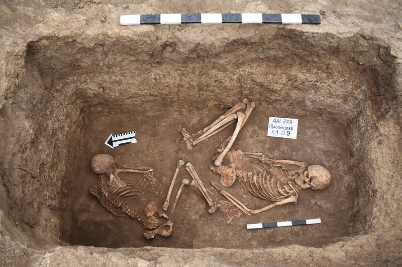 Колени скелета были прижаты к плечам